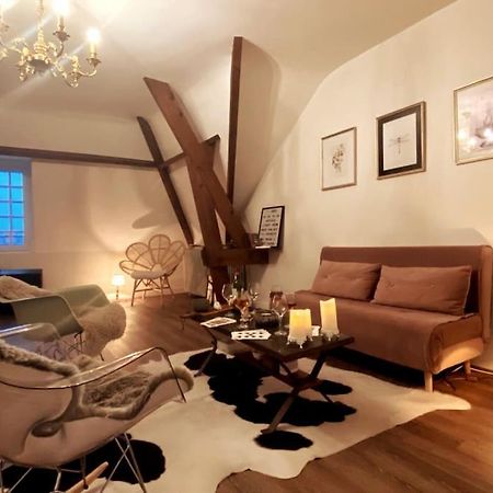 Grand Appartement Place Saint-Pierre, Proche Chateau De Saumur Et Bord De Loire" Luaran gambar