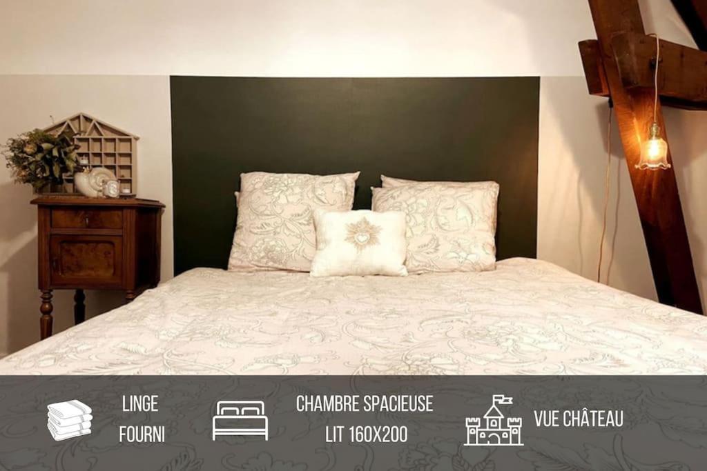 Grand Appartement Place Saint-Pierre, Proche Chateau De Saumur Et Bord De Loire" Luaran gambar